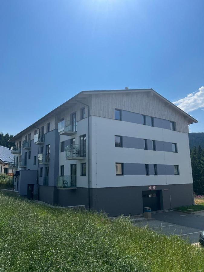 Klinovec-Apartments Loučná pod Klínovcem 外观 照片